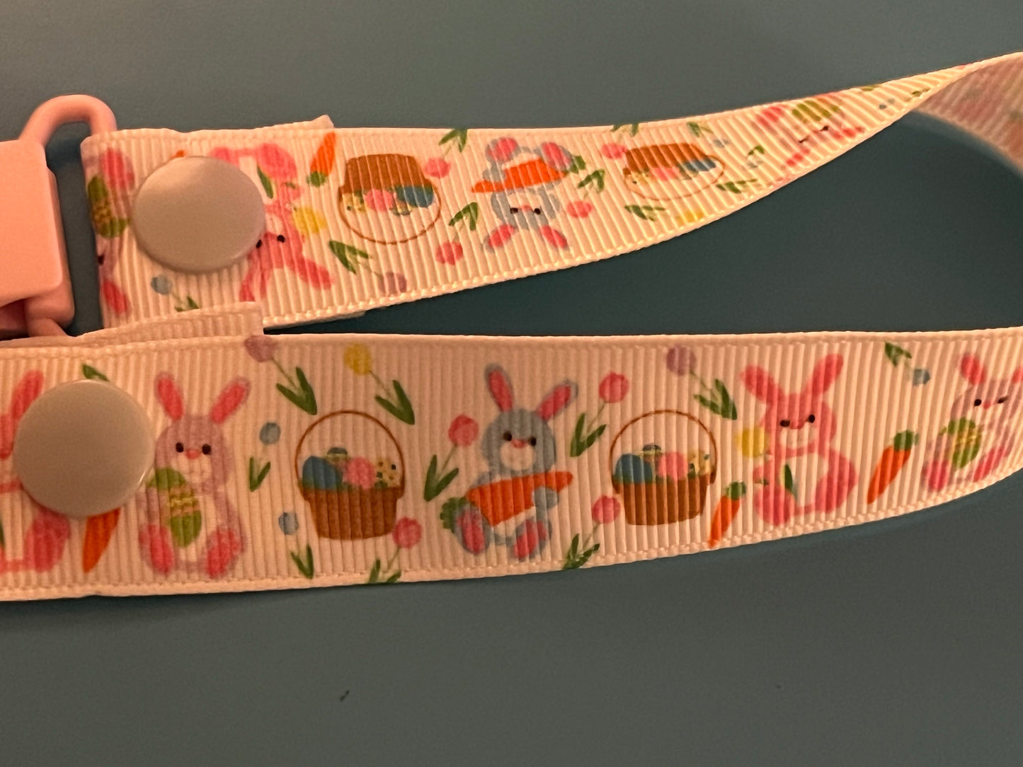 Carrots & Bunnies Paci Clip