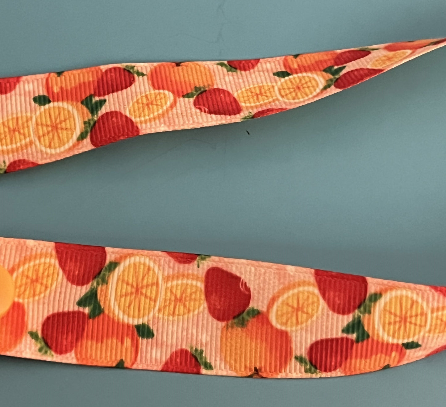 Citrus Fruits Paci Clip