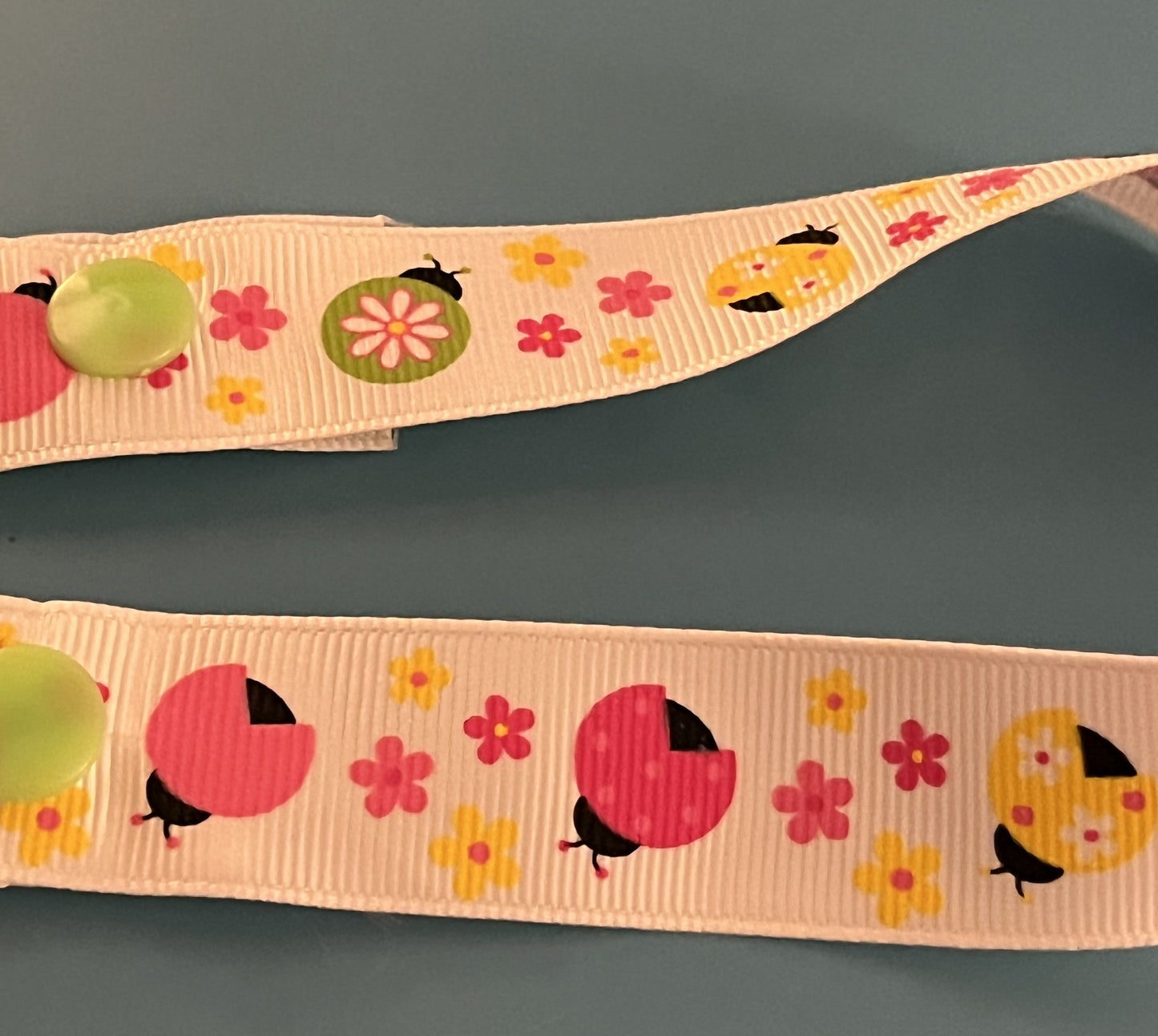 Ladybug & Flowers Paci Clip
