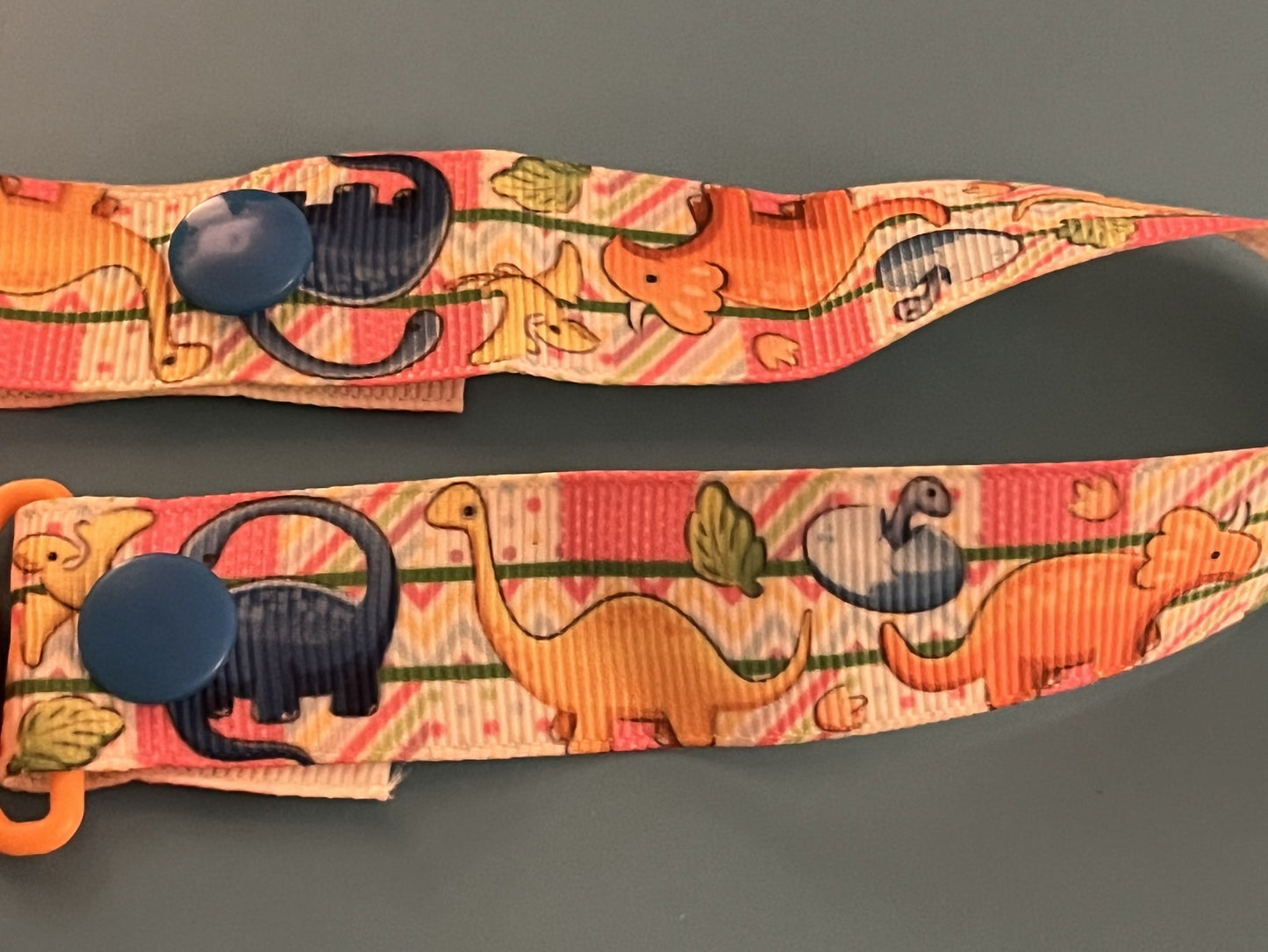 Bright Dino Paci Clip