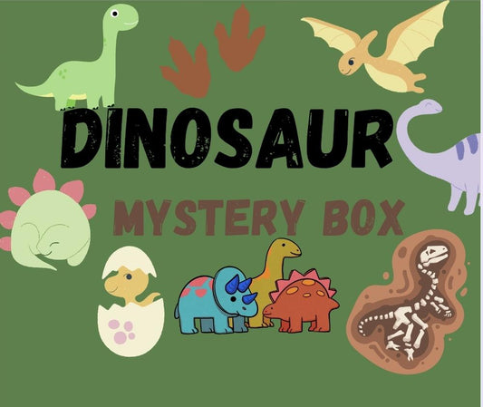 Dino Mystery Box